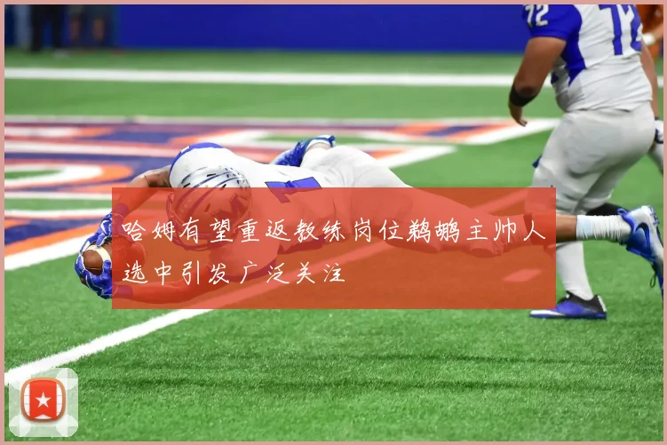 哈姆有望重返教练岗位鹈鹕主帅人选中引发广泛关注