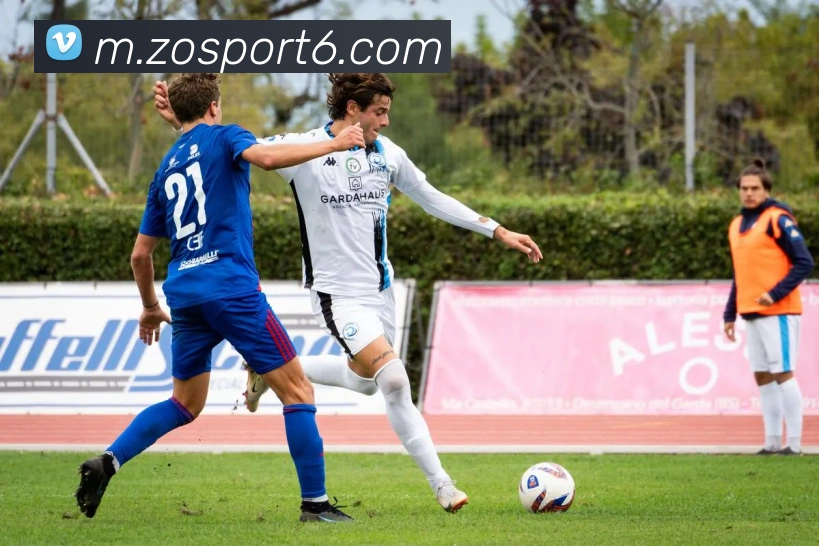 中欧体育发展历程